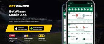 Discover the Features of the Baji Live App Your Ultimate Streaming Experience
