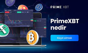 Comprehensive Guide to PrimeXBT Wallet Secure Your Assets Comprehensive Guide to PrimeXBT Wallet Secure Your Assets