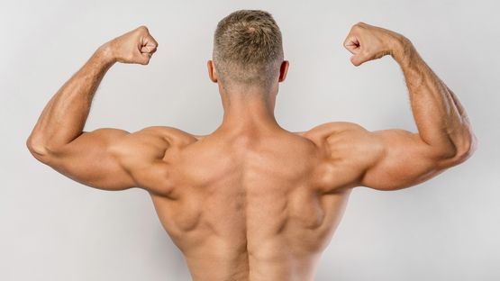 Clenbuterol 0.05 mg: Contraindicaciones
