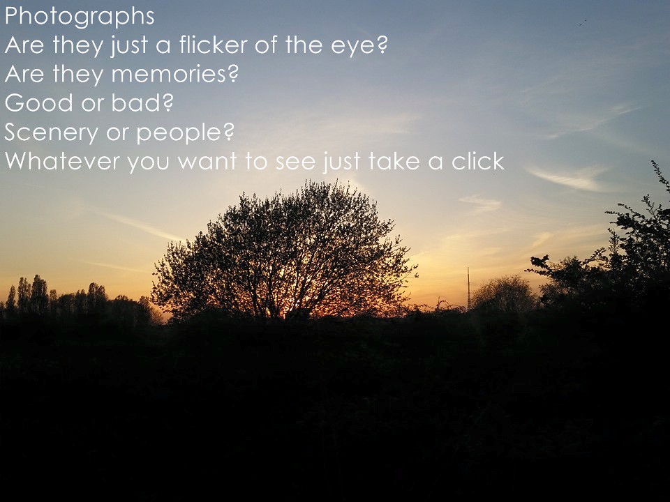 Laugh, Learn, and Connect with QuotePoem 16 Laugh, Learn, and Connect with QuotePoem 16